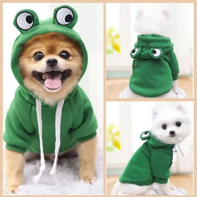 HausPets Suéter perro L algodón suave – Fruta, corazón, rana HausPets Suéter perro L algodón suave – Fruta, corazón, rana