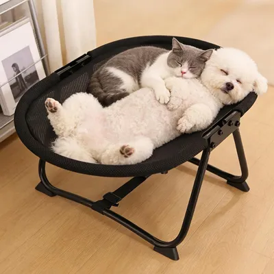 HausPets Tragbares Hundebett 57x41x26cm rutschfest schwarz HausPets Tragbares Hundebett 57x41x26cm rutschfest schwarz