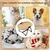 HausPets Erhöhtes Hundebett Hängematte 57x41x26cm khaki klappbar rutschfest HausPets Erhöhtes Hundebett Hängematte 57x41x26cm khaki klappbar rutschfest