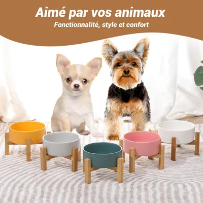 Gamelles surélevées céramique Blanche Support, gamelles surélevées Chats en Gamelles surélevées céramique Blanche Support, gamelles surélevées Chats en