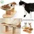 Gamelle Surélevée Bol 3 Bols Inoxydable Réglable Support Gamelle Petits en Gamelle Surélevée Bol 3 Bols Inoxydable Réglable Support Gamelle Petits en