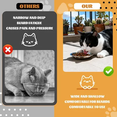 Lot 6 Gamelles Inoxydable, Gamelle Gamelle Plate, Facile Passe Chats Petits Lot 6 Gamelles Inoxydable, Gamelle Gamelle Plate, Facile Passe Chats Petits