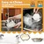 Lot 6 Gamelles Inoxydable, Gamelle Gamelle Plate, Facile Passe Chats Petits Lot 6 Gamelles Inoxydable, Gamelle Gamelle Plate, Facile Passe Chats Petits