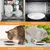 6 flache Keramiknäpfe 15 x 3 cm – Gummiboden