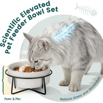 Gamelle Céramique Surélevée Double 2x400ml, Bol Support Métal Chat