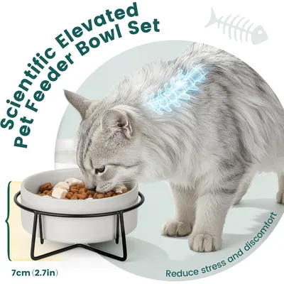 Gamelle Céramique Surélevée Double 2x400ml, Bol Support Métal Chat Gamelle Céramique Surélevée Double 2x400ml, Bol Support Métal Chat