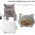 HausPets Lote 3 comederos gato antideslizantes – Gris/blanco/amarillo HausPets Lote 3 comederos gato antideslizantes – Gris/blanco/amarillo