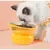 Erhöhter Katzennapf – 15° geneigt – Orangefarbene Keramik
