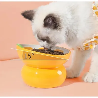 Erhöhter Katzennapf – 15° geneigt – Orangefarbene Keramik