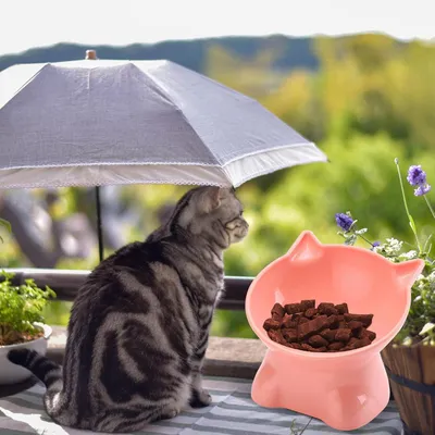 Gamelle anti-vomi chat – Bol surélevé inclinable 15° Gamelle anti-vomi chat – Bol surélevé inclinable 15°