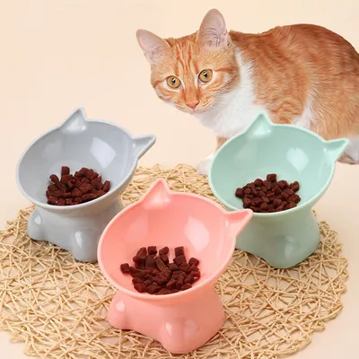 HausPets Comedero antivómito para gatos: cuenco elevado e inclinable (15°) HausPets Comedero antivómito para gatos: cuenco elevado e inclinable (15°)