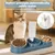 HausPets Set 3 en 1 comederos gato + botella 500 ml HausPets Set 3 en 1 comederos gato + botella 500 ml