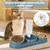 3-in-1 Katzennapf-Set – Doppelnapf + 500-ml-Flasche