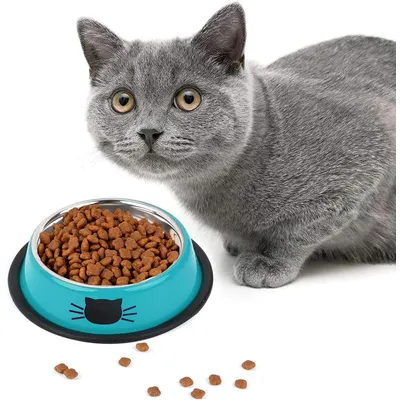 HausPets Lote 3 comederos acero antideslizantes – Azul/violeta/verde