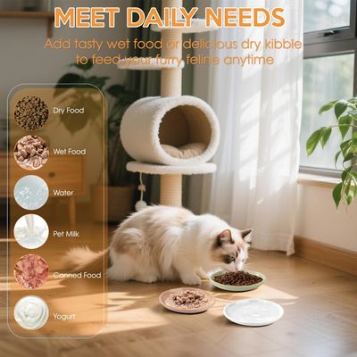 HausPets 6 cuencos de cerámica para gatos de 15x3 cm – Base antideslizante