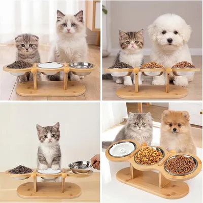 Erhöhter Katzennapf – 3 Edelstahlnäpfe – Höhenverstellbar