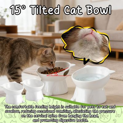 2-teiliges Set erhöhter Futternäpfe, schräger Katzennapf