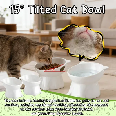 2 pièces Gamelle Surélevée, Gamelle Bol Gamelle Inclinée Gamelle Chats Chat 2 pièces Gamelle Surélevée, Gamelle Bol Gamelle Inclinée Gamelle Chats Chat