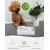 Marchul Gamelle Inclinable 15° Bol Anti-Vomissements Bols, Animaux 2-en-1 Marchul Gamelle Inclinable 15° Bol Anti-Vomissements Bols, Animaux 2-en-1