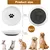 HausPets 6 comederos cerámica gato planos antideslizantes