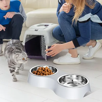 Gamelle Gris, Gamelle 2 Bols Inoxydable Bols Antidérapants, Bowl Mangeoirs Gamelle Gris, Gamelle 2 Bols Inoxydable Bols Antidérapants, Bowl Mangeoirs