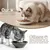 HausPets Set 3 comederos cerámica gato antideslizantes