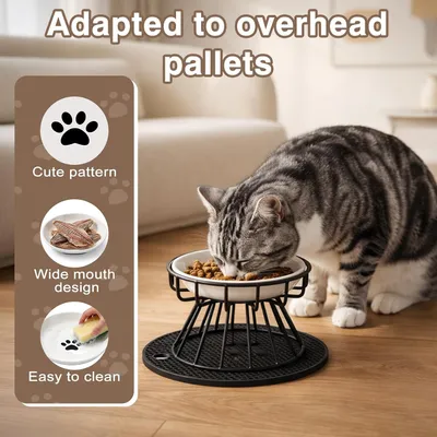 HausPets Set 3 comederos cerámica gato antideslizantes