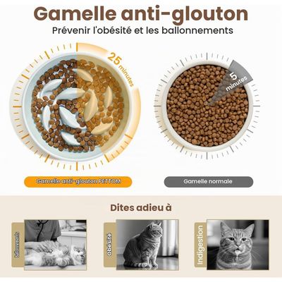 Gamelle Glouton Céramique Surélevée Bambou Support, Vomissements Sec