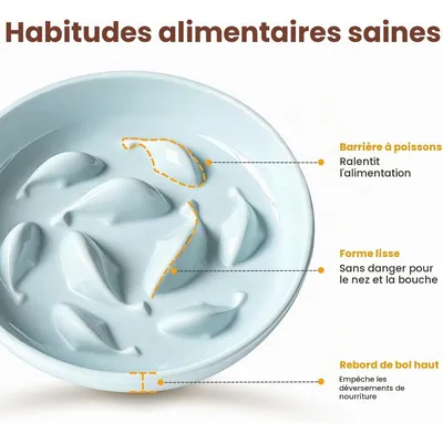 HausPets Comedero de cerámica elevado con soporte de bambú, vómitos secos HausPets Comedero de cerámica elevado con soporte de bambú, vómitos secos