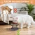 HausPets Lote 2 comederos gato cerámica elevados – Negro HausPets Lote 2 comederos gato cerámica elevados – Negro