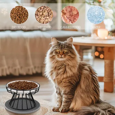 Set mit 2 erhöhten Keramik-Katzennäpfen – Metallständer