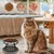 HausPets Lote 2 comederos gato cerámica elevados – Negro HausPets Lote 2 comederos gato cerámica elevados – Negro