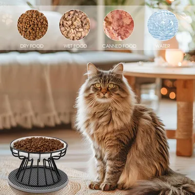 HausPets Lote 2 comederos gato cerámica elevados – Negro HausPets Lote 2 comederos gato cerámica elevados – Negro