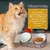 Set mit 3 erhöhten Keramiknäpfen für Katzen – Keramik – 15° Neigung