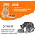 Zikenis Lot 10 gamelles plates Multicolore Assiettes rondes chatons chats Zikenis Lot 10 gamelles plates Multicolore Assiettes rondes chatons chats