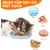 Zikenis Lot 10 gamelles plates Multicolore Assiettes rondes chatons chats Zikenis Lot 10 gamelles plates Multicolore Assiettes rondes chatons chats