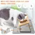 Gamelle Petits Chiens Surélevée, 3 Bols Ceramique Support 15° mit Gamelle Petits Chiens Surélevée, 3 Bols Ceramique Support 15° mit