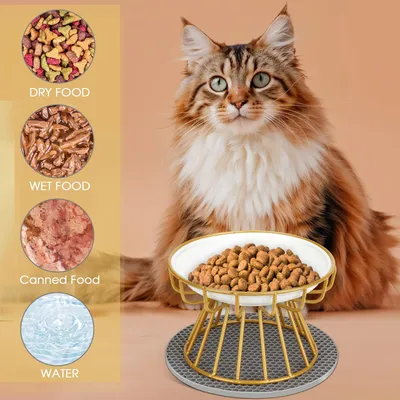 Set mit 2 erhöhten Keramik-Katzennäpfen – Metallständer – Gold