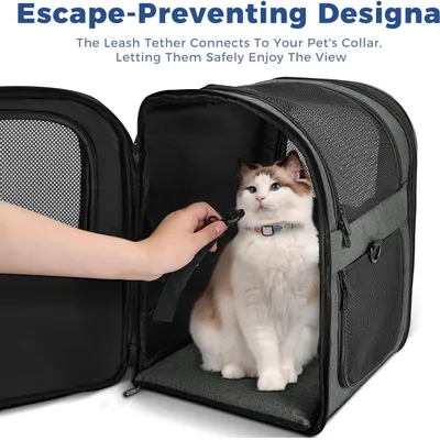 HausPets Sac à Dos de Transport Grande Taille pour Chats et Chiens