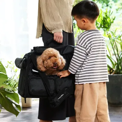 HausPets Sac Transport Chien Chat Approuvé en Cabine HausPets Sac Transport Chien Chat Approuvé en Cabine