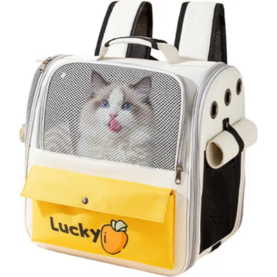 HausPets Sac à Dos de Transport pour Chat HausPets Sac à Dos de Transport pour Chat
