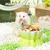 HausPets Keramik Hamster Schale Bonbonform pink klein HausPets Keramik Hamster Schale Bonbonform pink klein