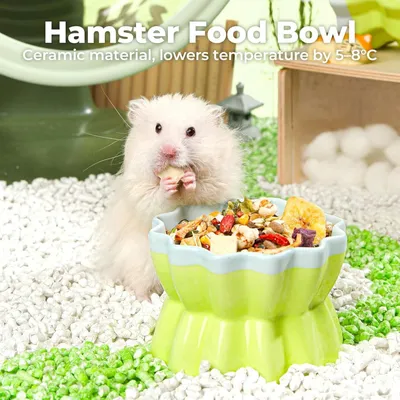 HausPets Keramik Hamster Schale Bonbonform pink klein HausPets Keramik Hamster Schale Bonbonform pink klein