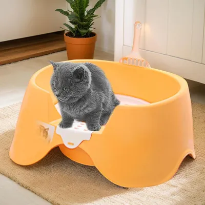 Offene Katzentoilette für Kitten, kleine & große Katzen Offene Katzentoilette für Kitten, kleine & große Katzen