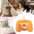 Offene Katzentoilette für Kitten, kleine & große Katzen Offene Katzentoilette für Kitten, kleine & große Katzen