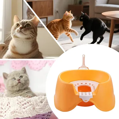 Offene Katzentoilette für Kitten, kleine & große Katzen Offene Katzentoilette für Kitten, kleine & große Katzen