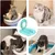 Katzen-Toiletten-Training - Antirutsch-Sitz für drinnen