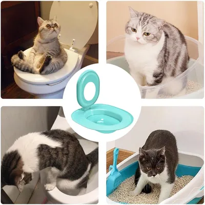 Katzen-Toiletten-Training - Antirutsch-Sitz für drinnen