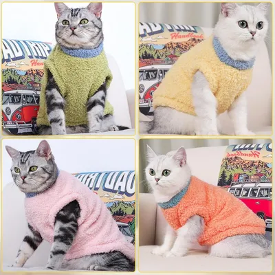 HausPets Katze Winter Mantel - Weich, Winddicht, Atmungsaktiv HausPets Katze Winter Mantel - Weich, Winddicht, Atmungsaktiv