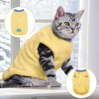 HausPets Katze Winter Mantel - Weich, Winddicht, Atmungsaktiv HausPets Katze Winter Mantel - Weich, Winddicht, Atmungsaktiv
